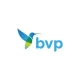 BVP verpakkingen